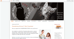 Desktop Screenshot of chicagocatrescue.org